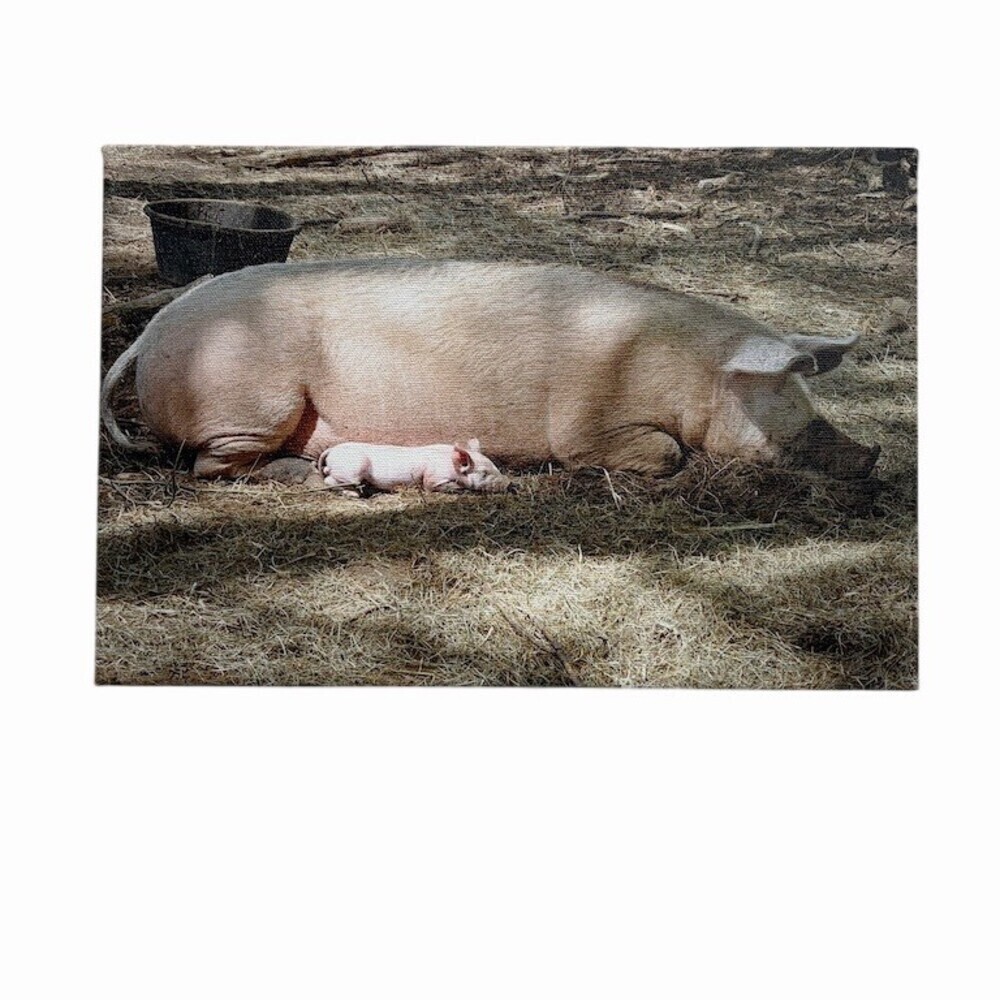 Farm Pig & Piglet Canvas Wall Art Print Rustic Farmhouse Barnyard Decor